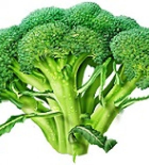 Broccoli