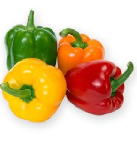 Capsicum